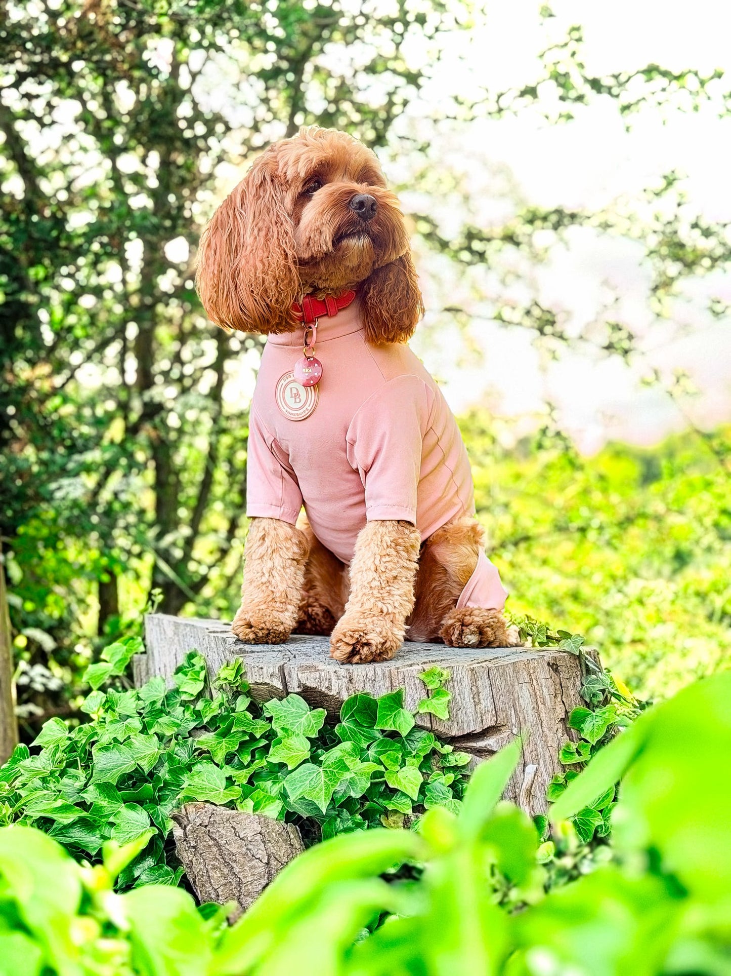 Blush Petal Summer Suit