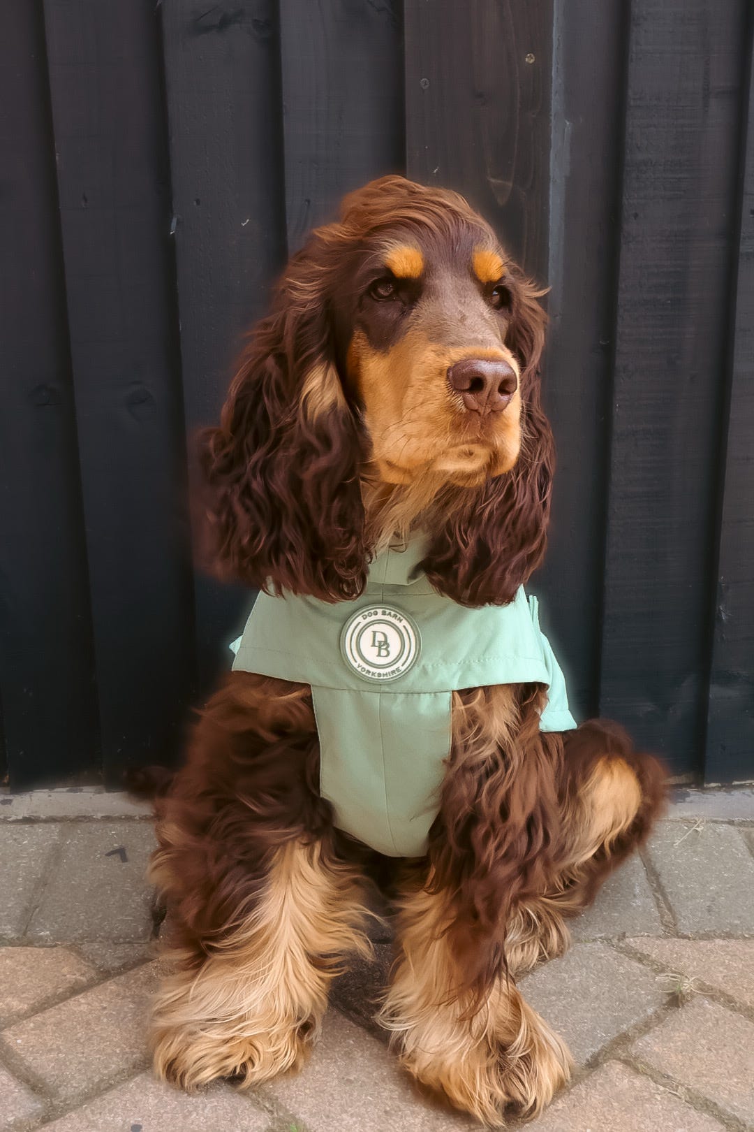 Sage Glade Rain Jacket