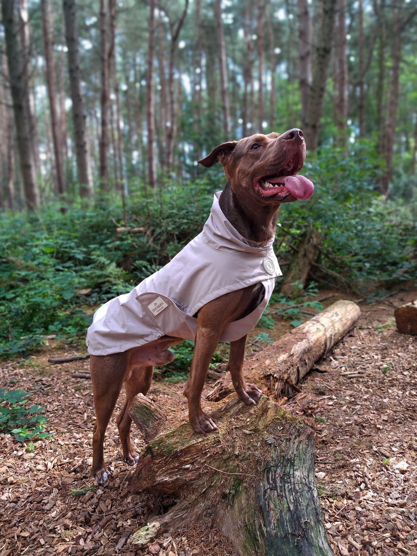 Truffle Dusk Rain Jacket