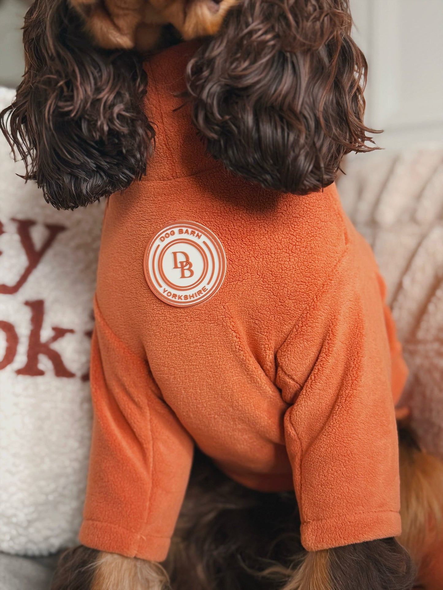 Pumpkin Spice Fleece Suit