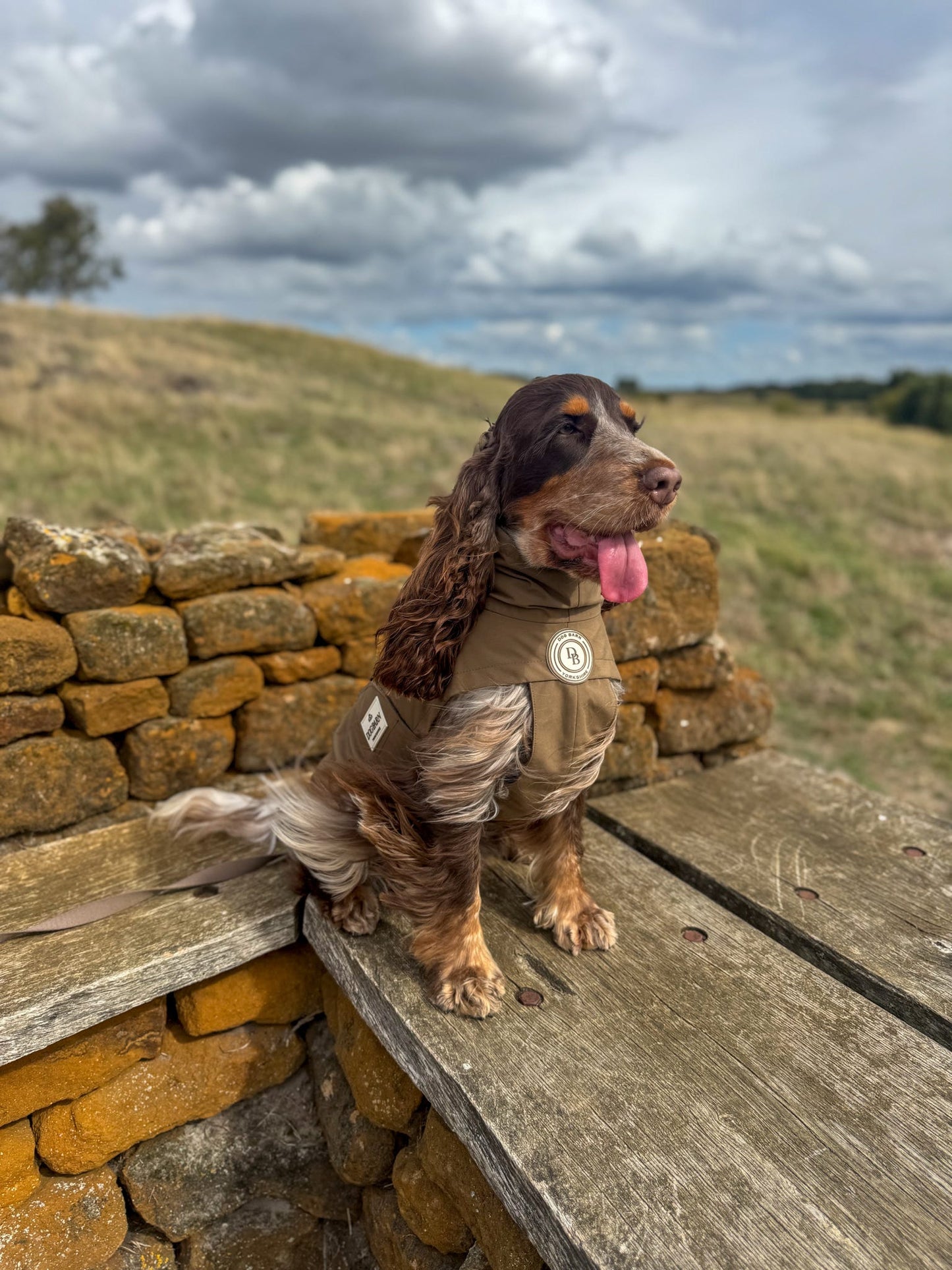 Chestnut Trail Rain Jacket
