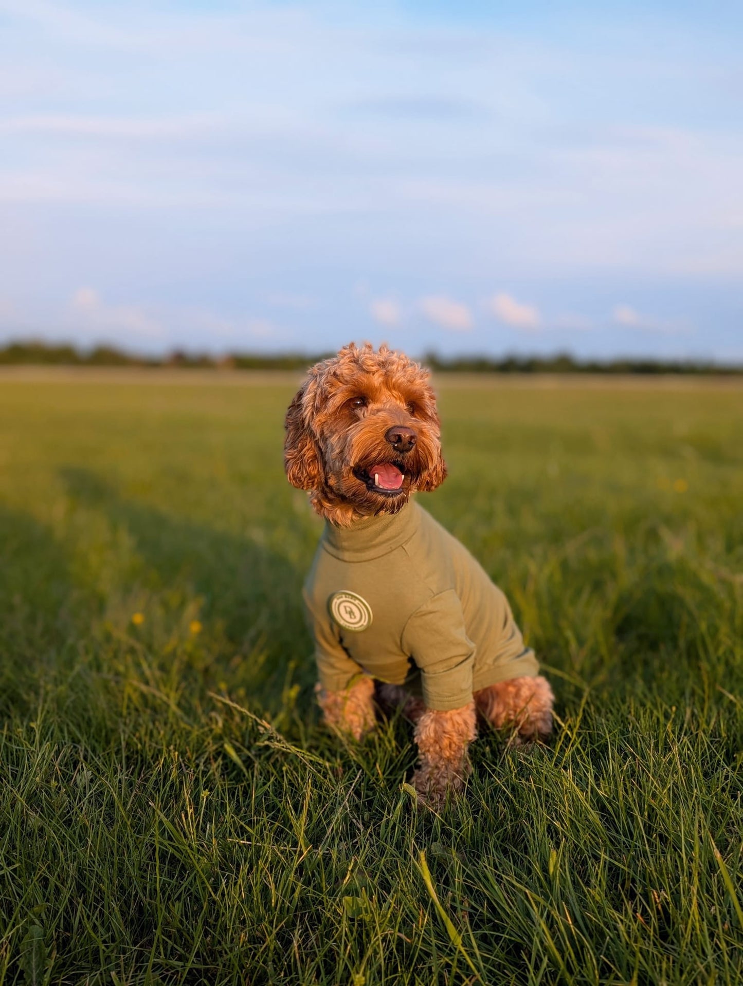 Forest Glade Summer T Shirt