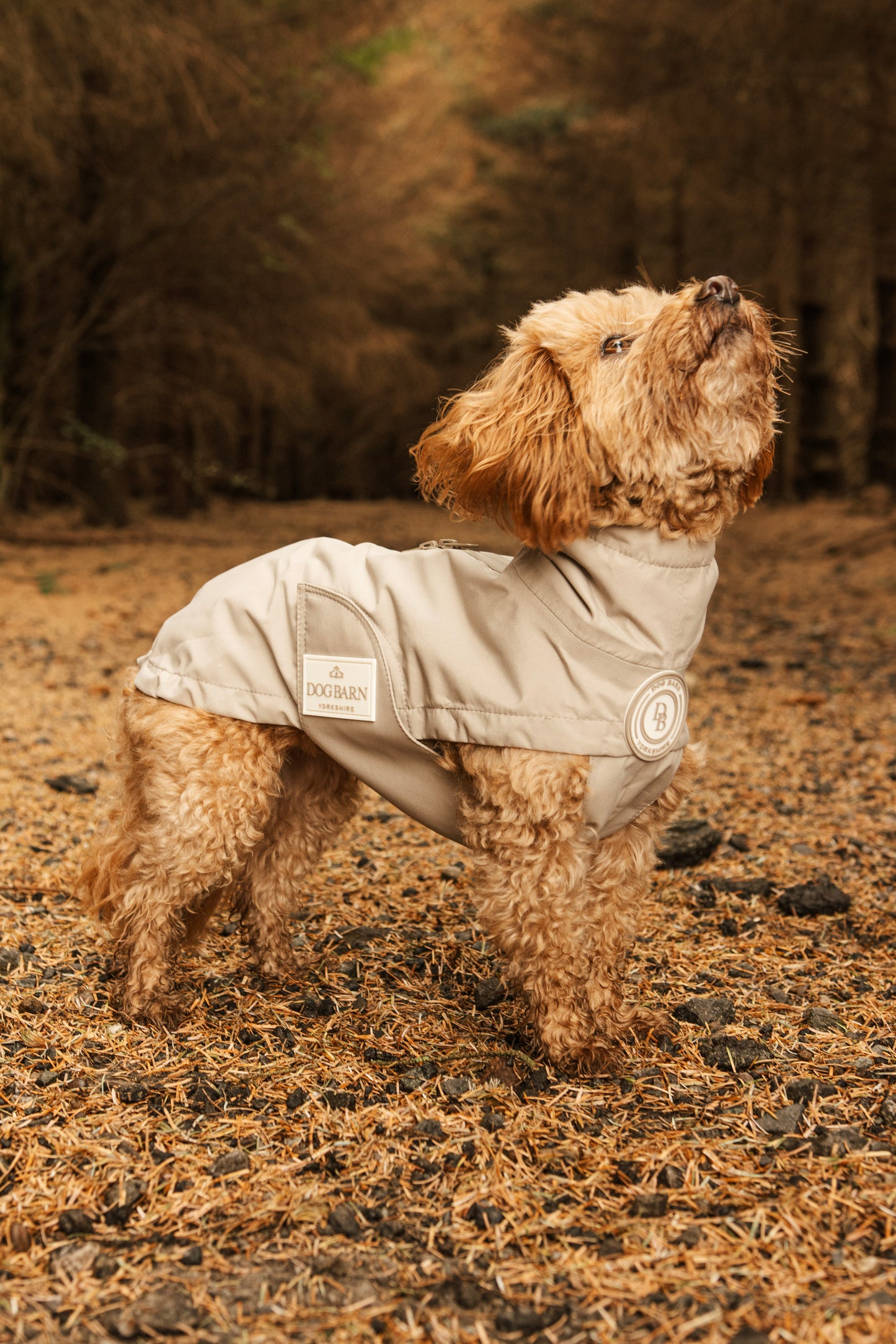 Truffle Dusk Rain Jacket
