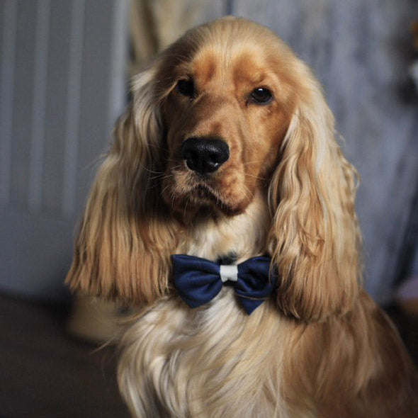 Starlit Meadow Bow Tie