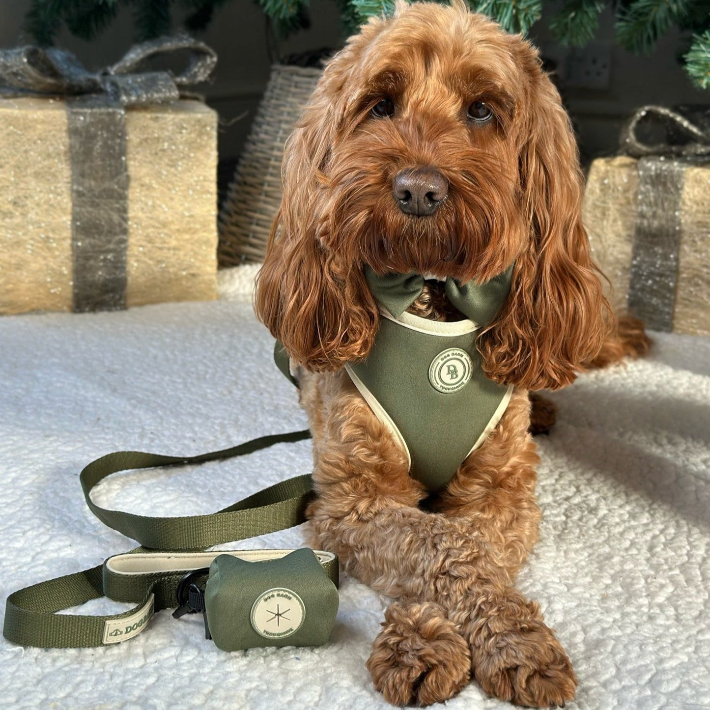 Forrest Glade Bundle