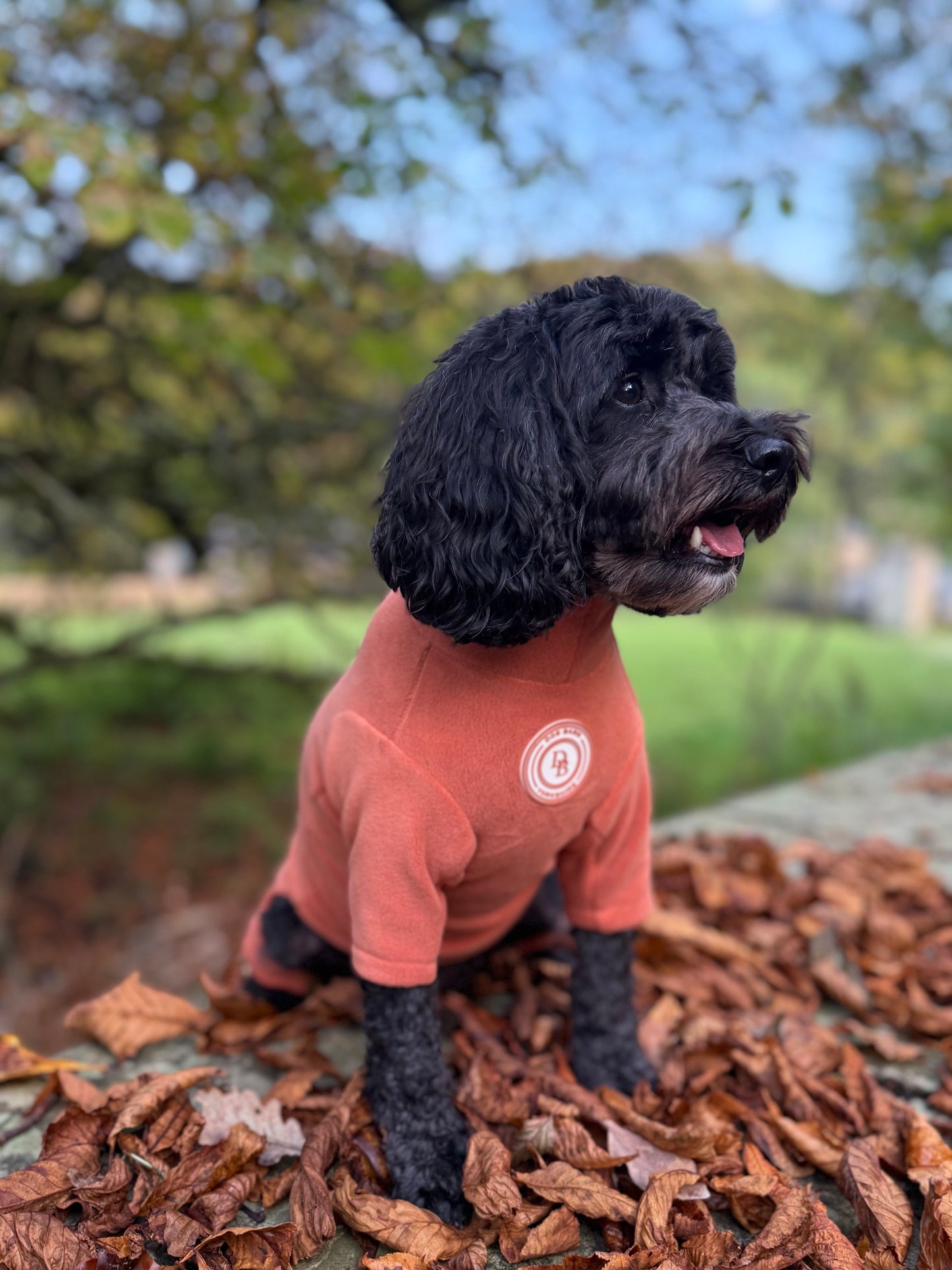 Pumpkin Spice Fleece Suit