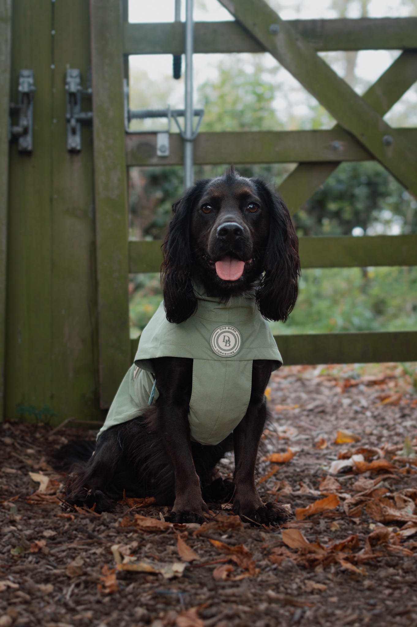 Sage Glade Rain Jacket