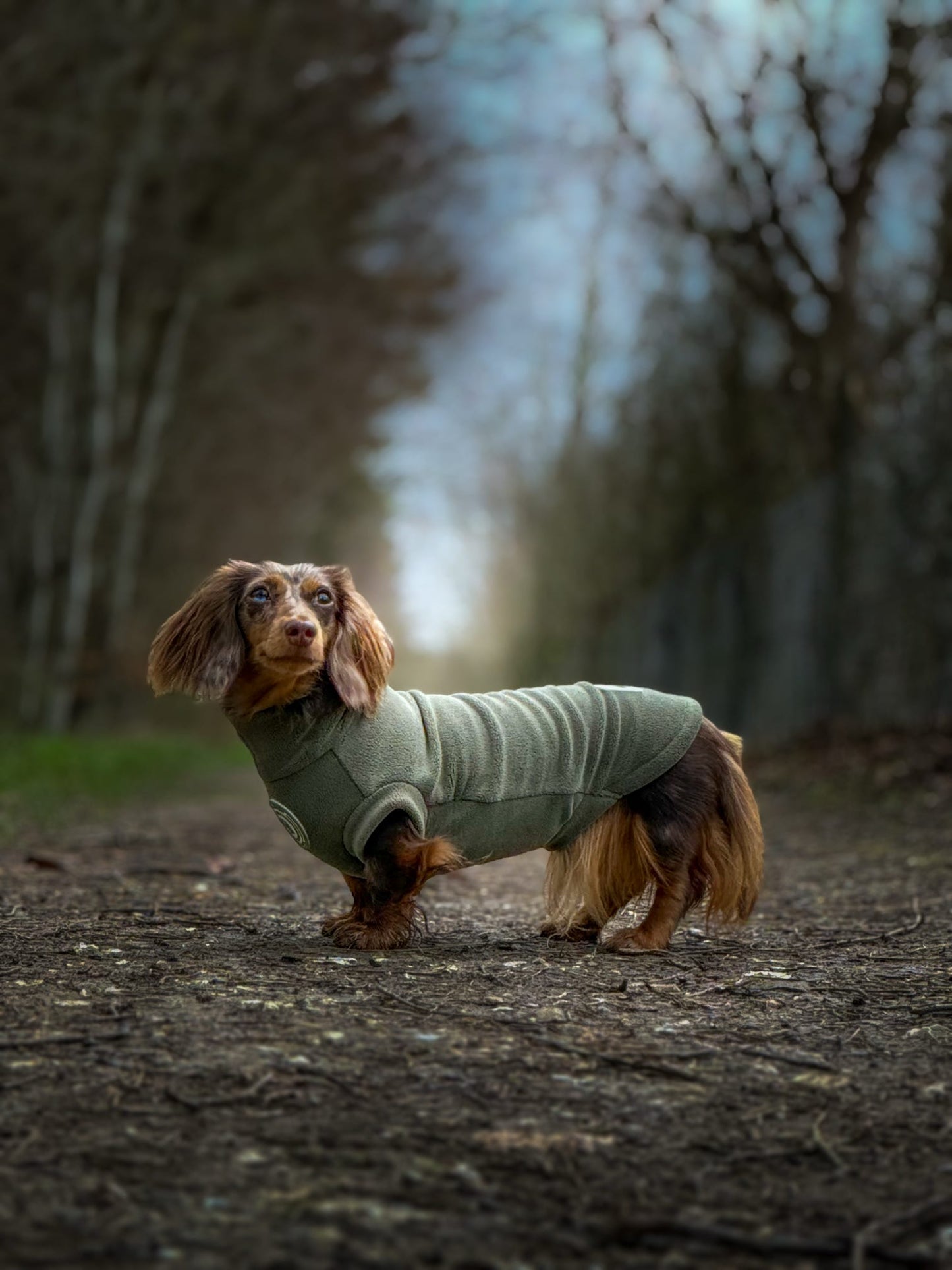 Forest Glade Dachshund Fleece