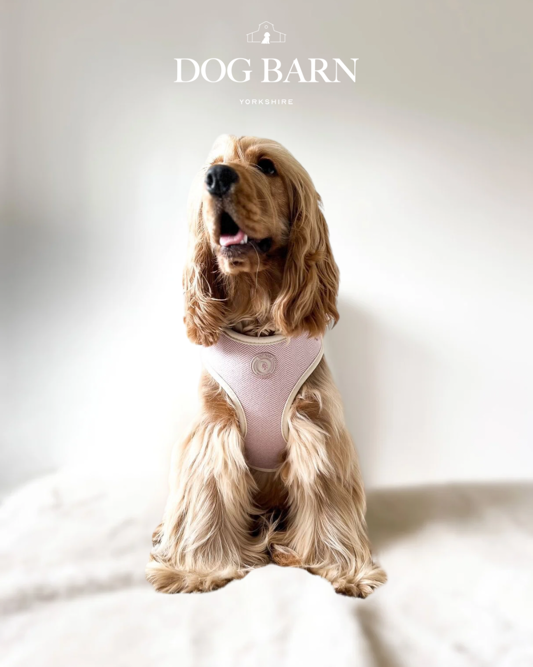 Blush Petal Tweed Harness