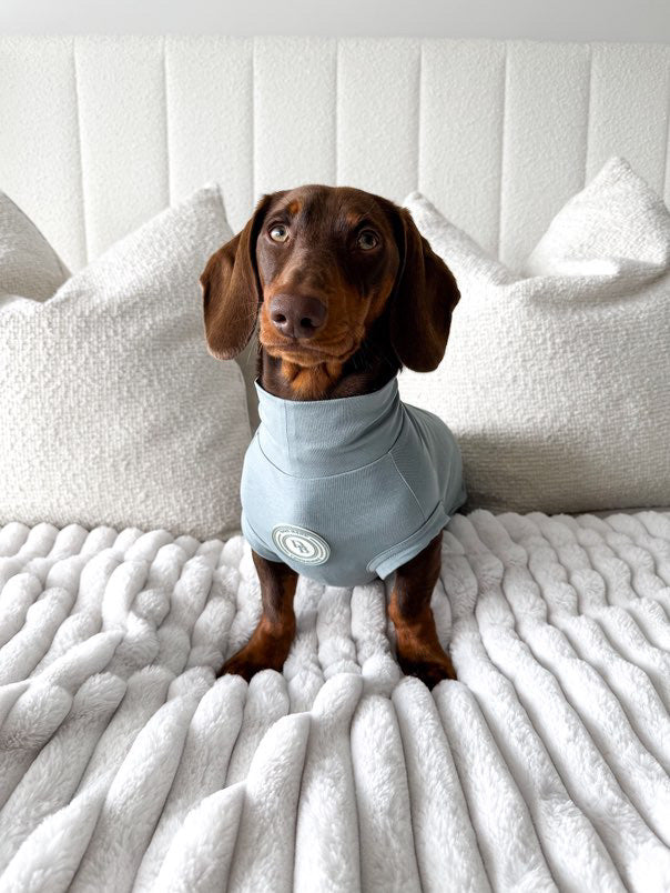 Dachshund Duck Egg Vale Summer T Shirt