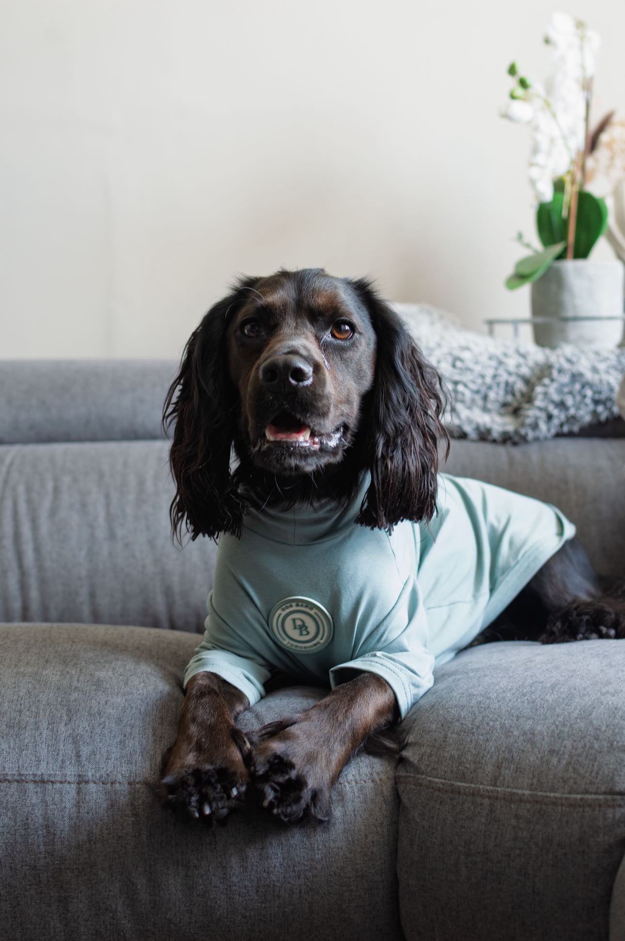 Duck Egg Vale Summer T Shirt