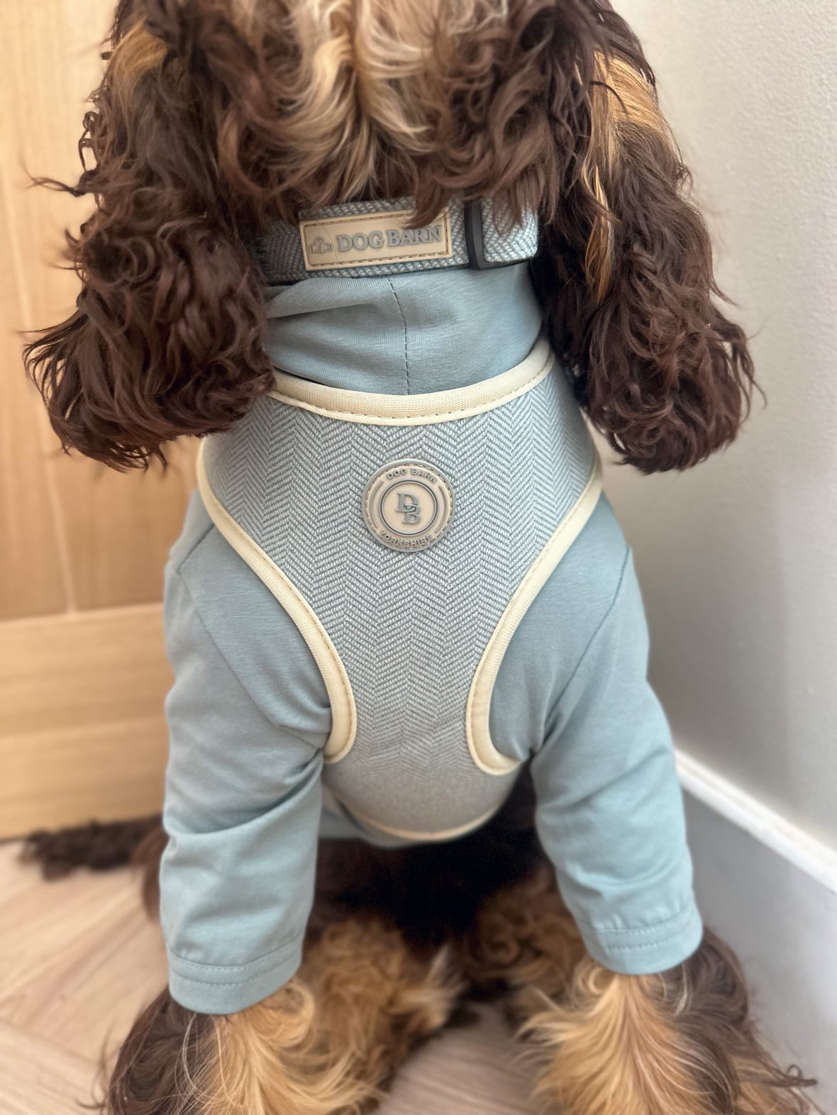 Duck Egg Vale Tweed Harness