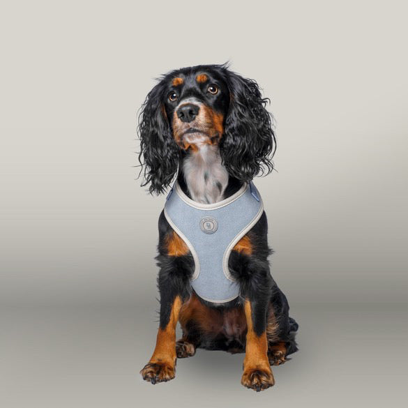 Duck Egg Vale Tweed Harness