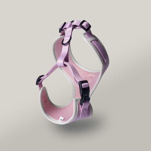 Blush Petal Tweed Harness