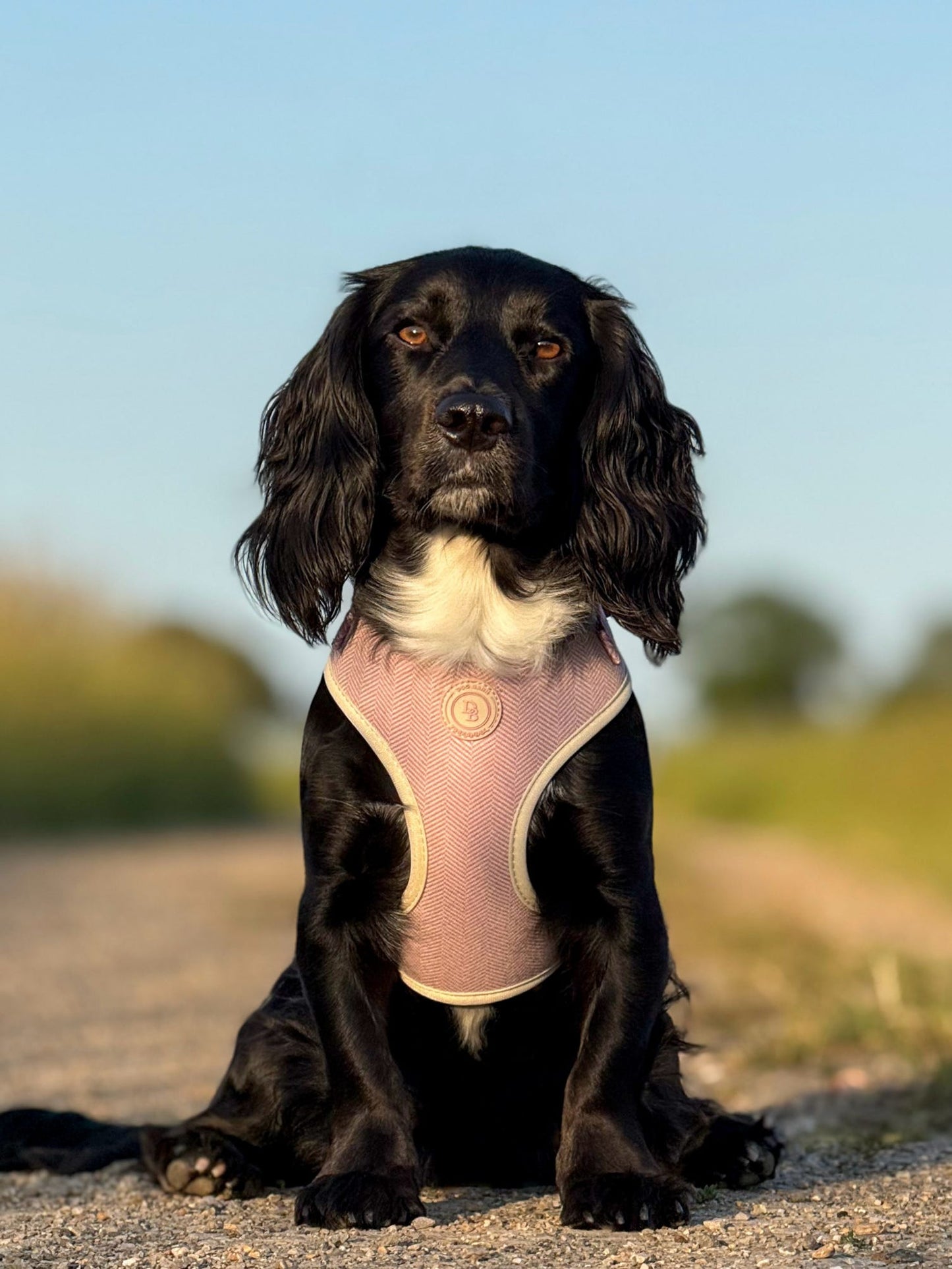 Blush Petal Tweed Harness