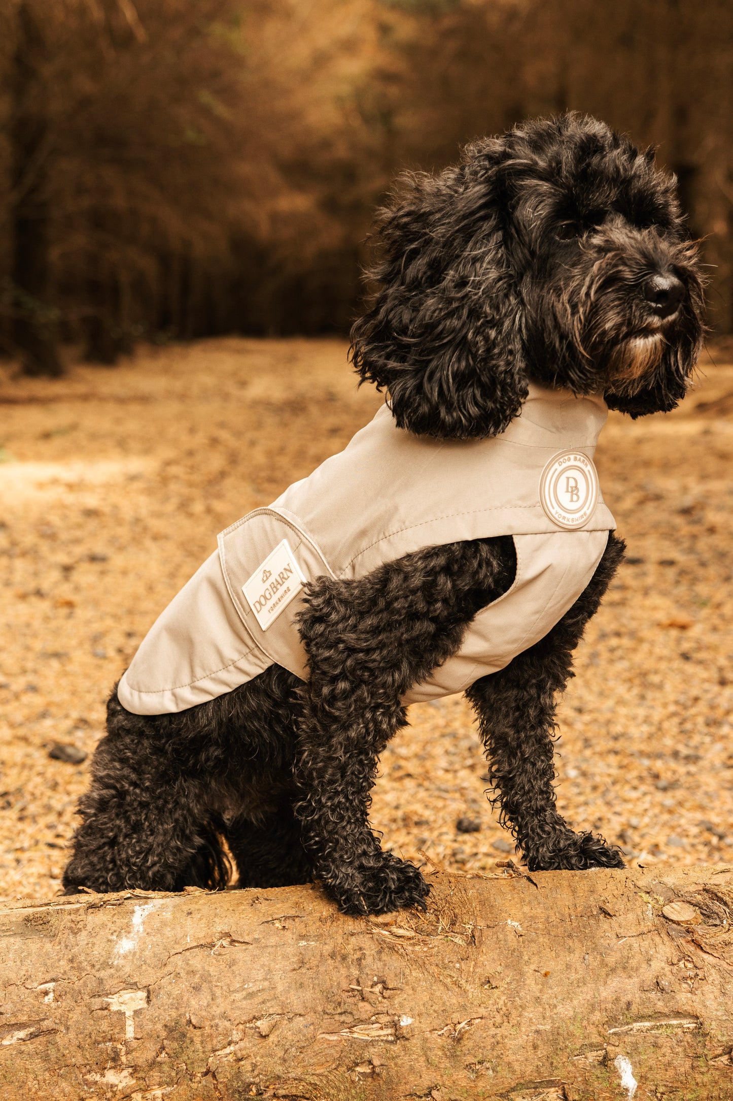 Truffle Dusk Rain Jacket