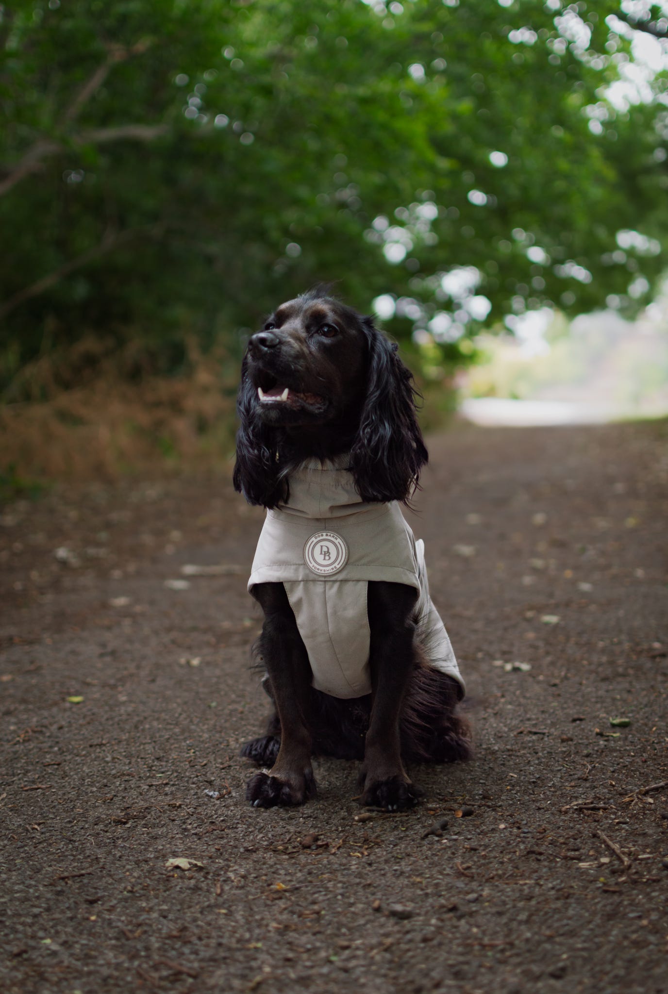 Truffle Dusk Rain Jacket
