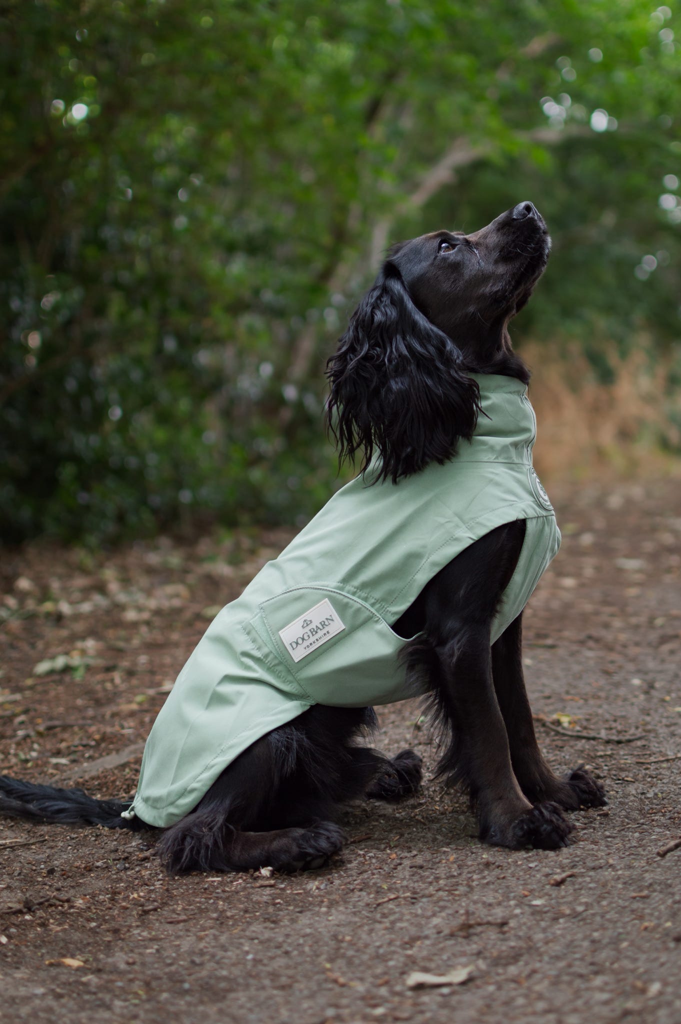 Sage Glade Rain Jacket