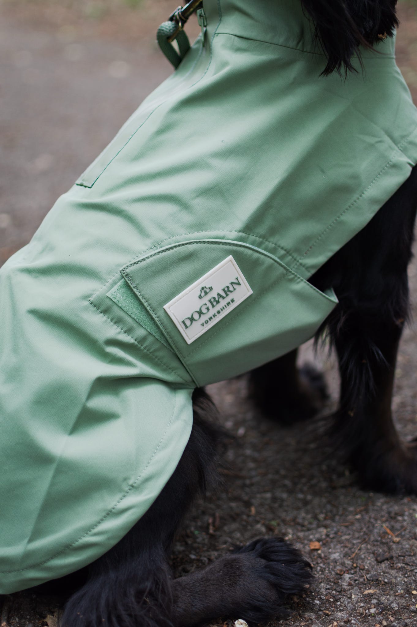 Sage Glade Rain Jacket