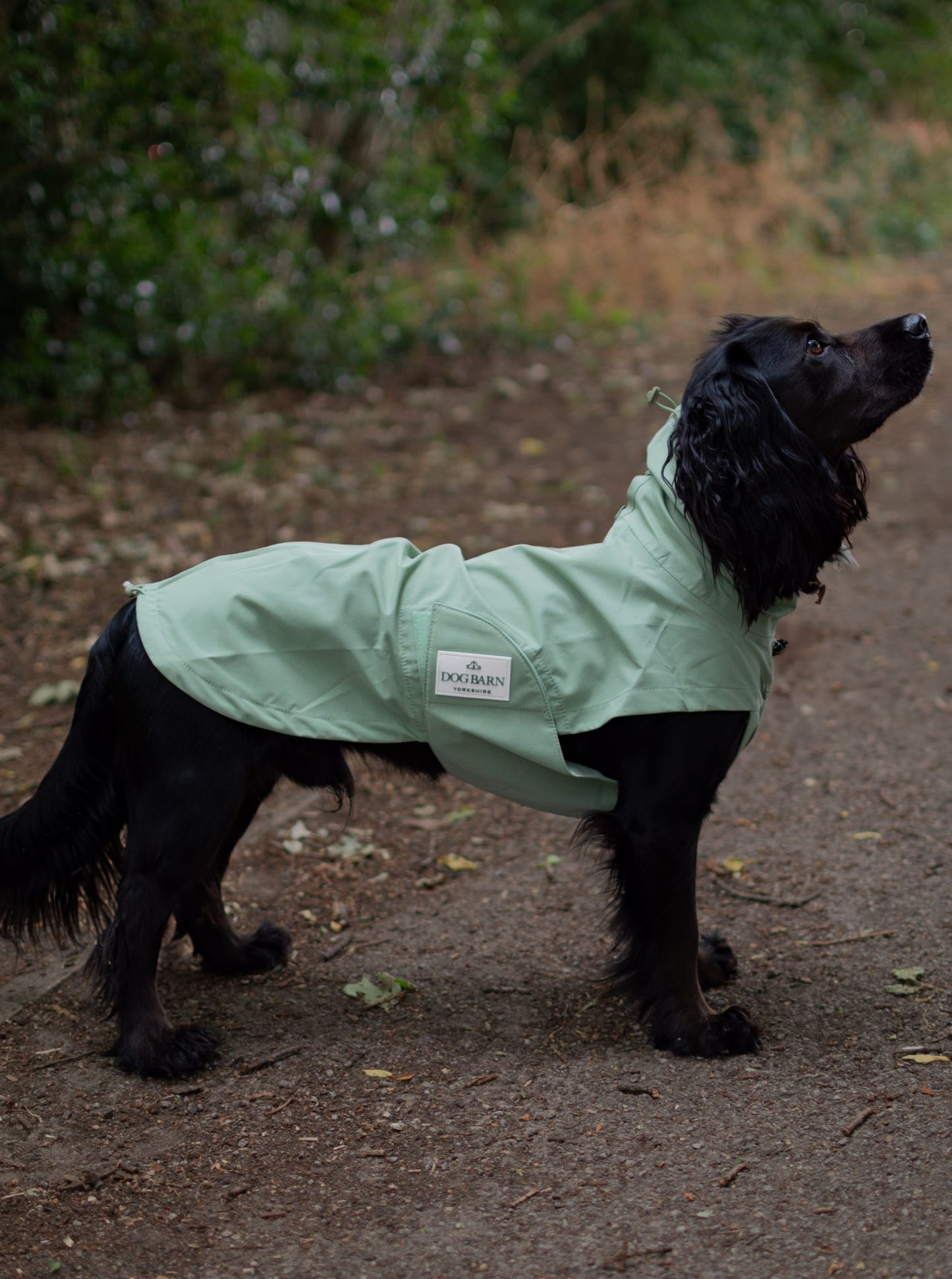 Sage Glade Rain Jacket