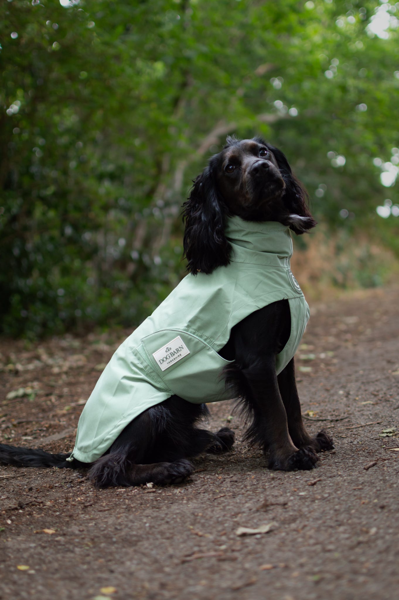 Sage Glade Rain Jacket