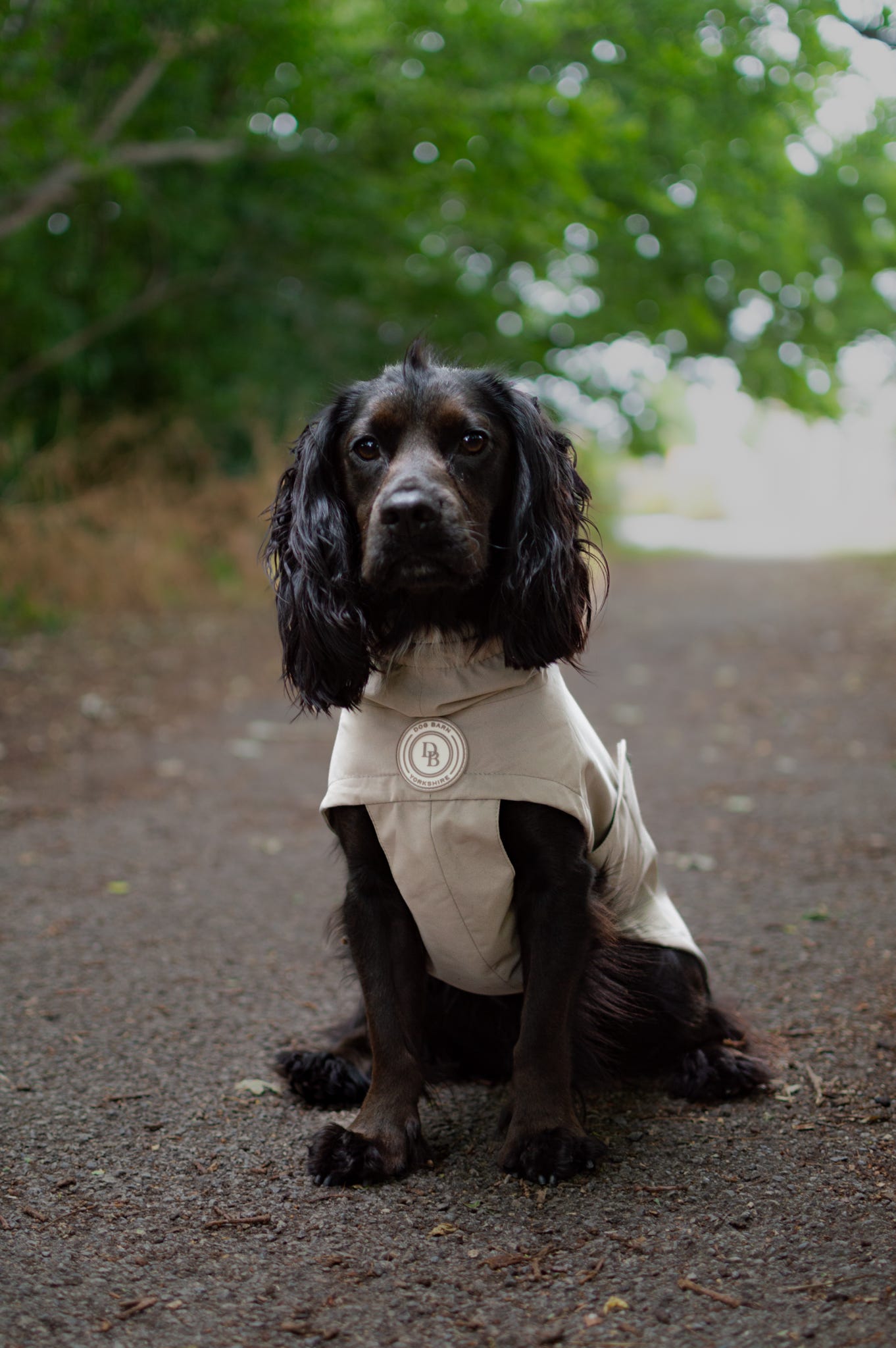 Truffle Dusk Rain Jacket