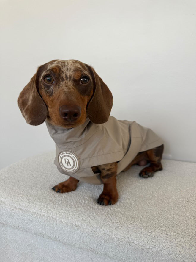 Dachshund Truffle Dusk Rain Jacket