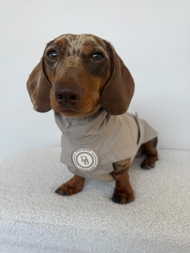 Dachshund Truffle Dusk Rain Jacket