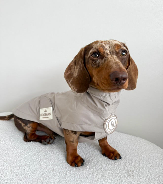 Dachshund Truffle Dusk Rain Jacket
