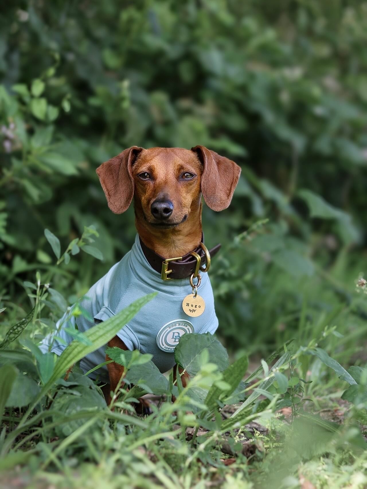 Dachshund Duck Egg Vale Summer T Shirt