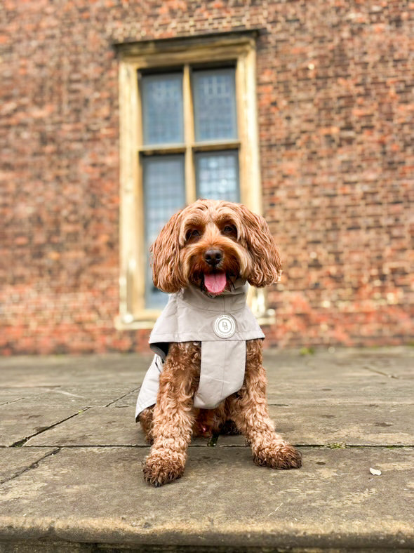 Truffle Dusk Rain Jacket