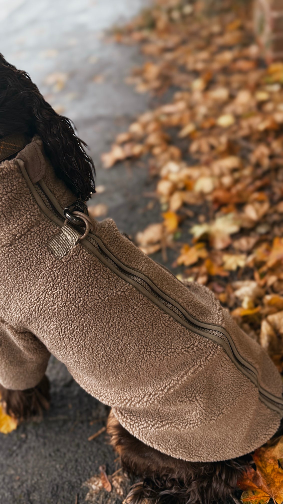 Truffle Dusk Sherpa Jacket