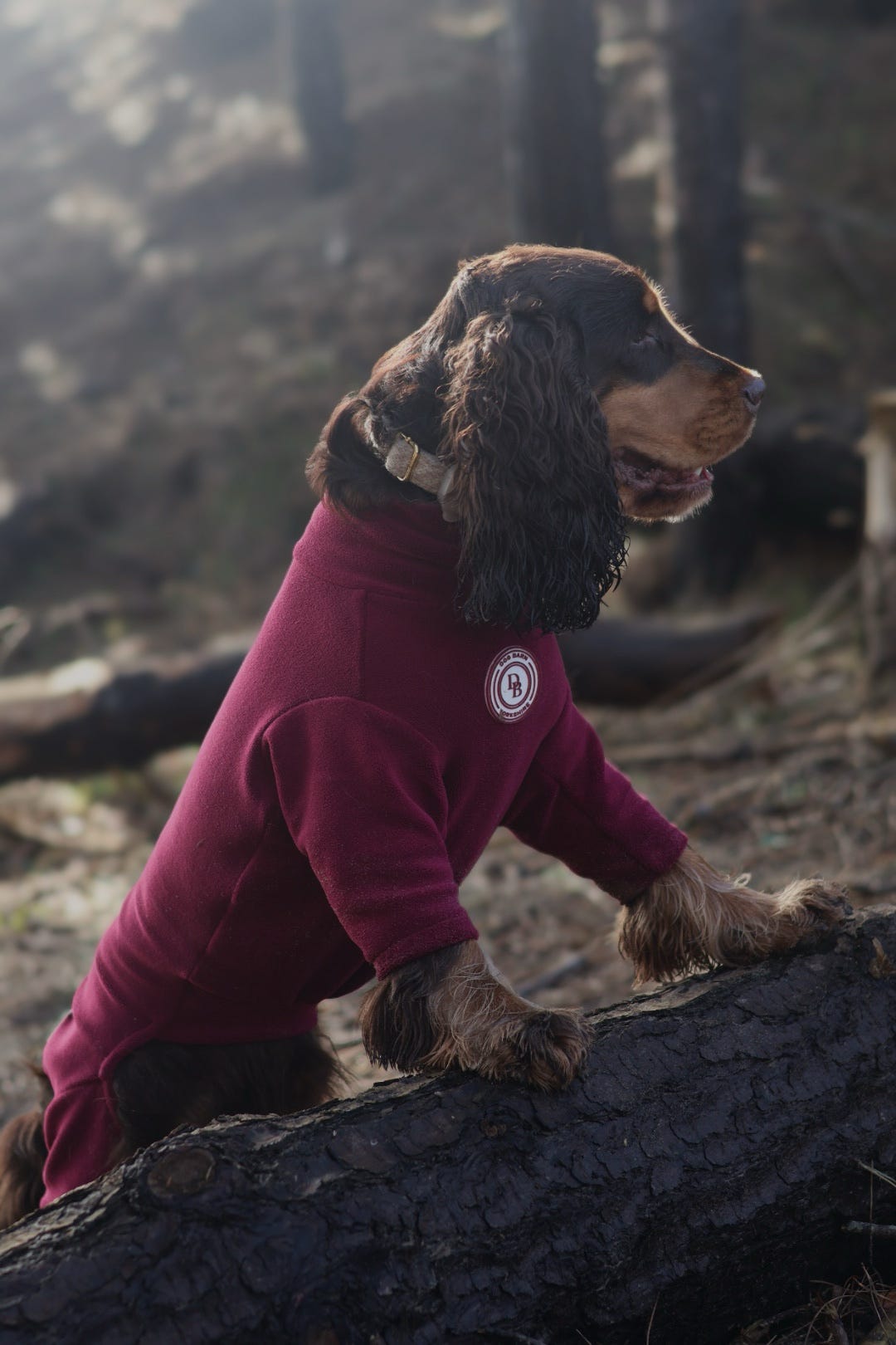 Berry Moors Fleece Suit