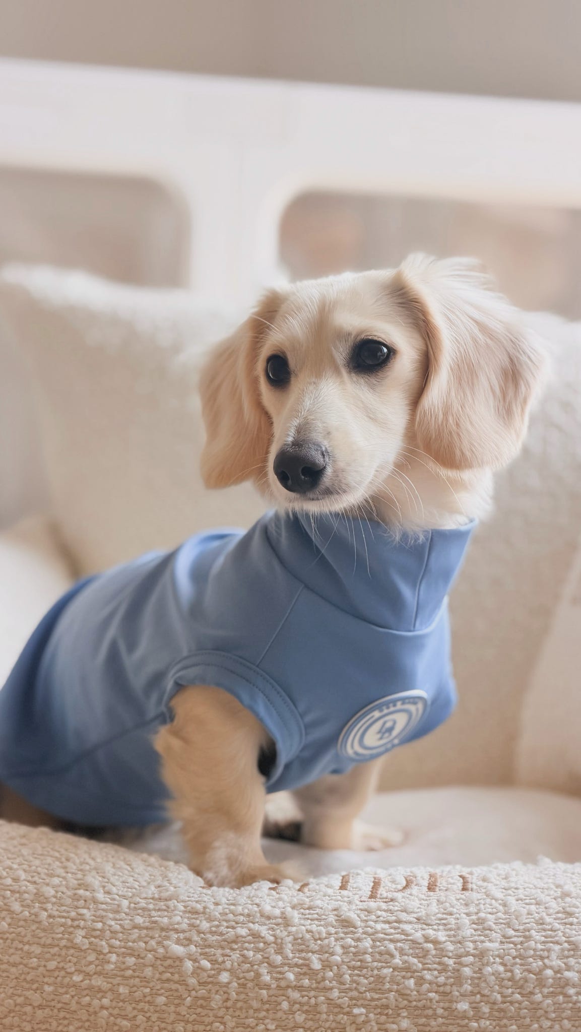 Dachshund Blue Sky Moor Summer T-Shirt