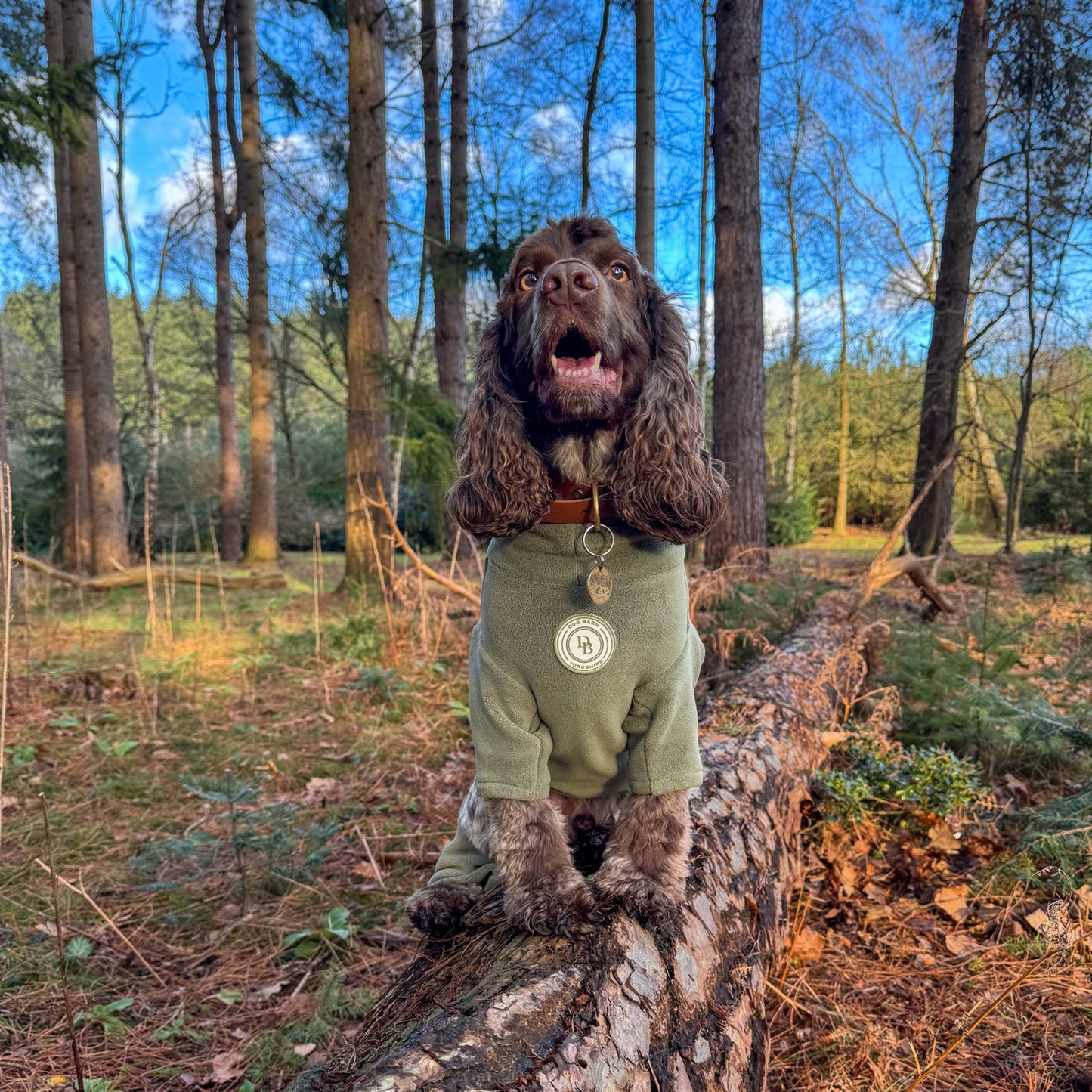 Forrest Glade Fleece Suit