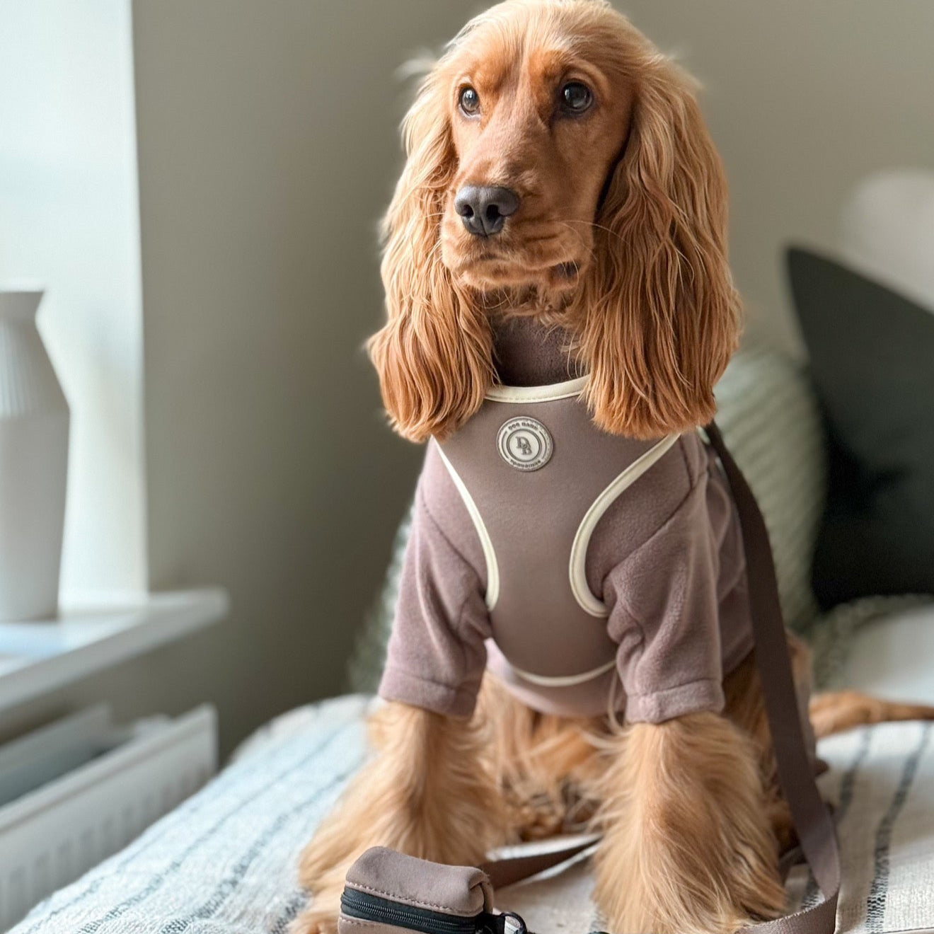 Chestnut Trail Bundle