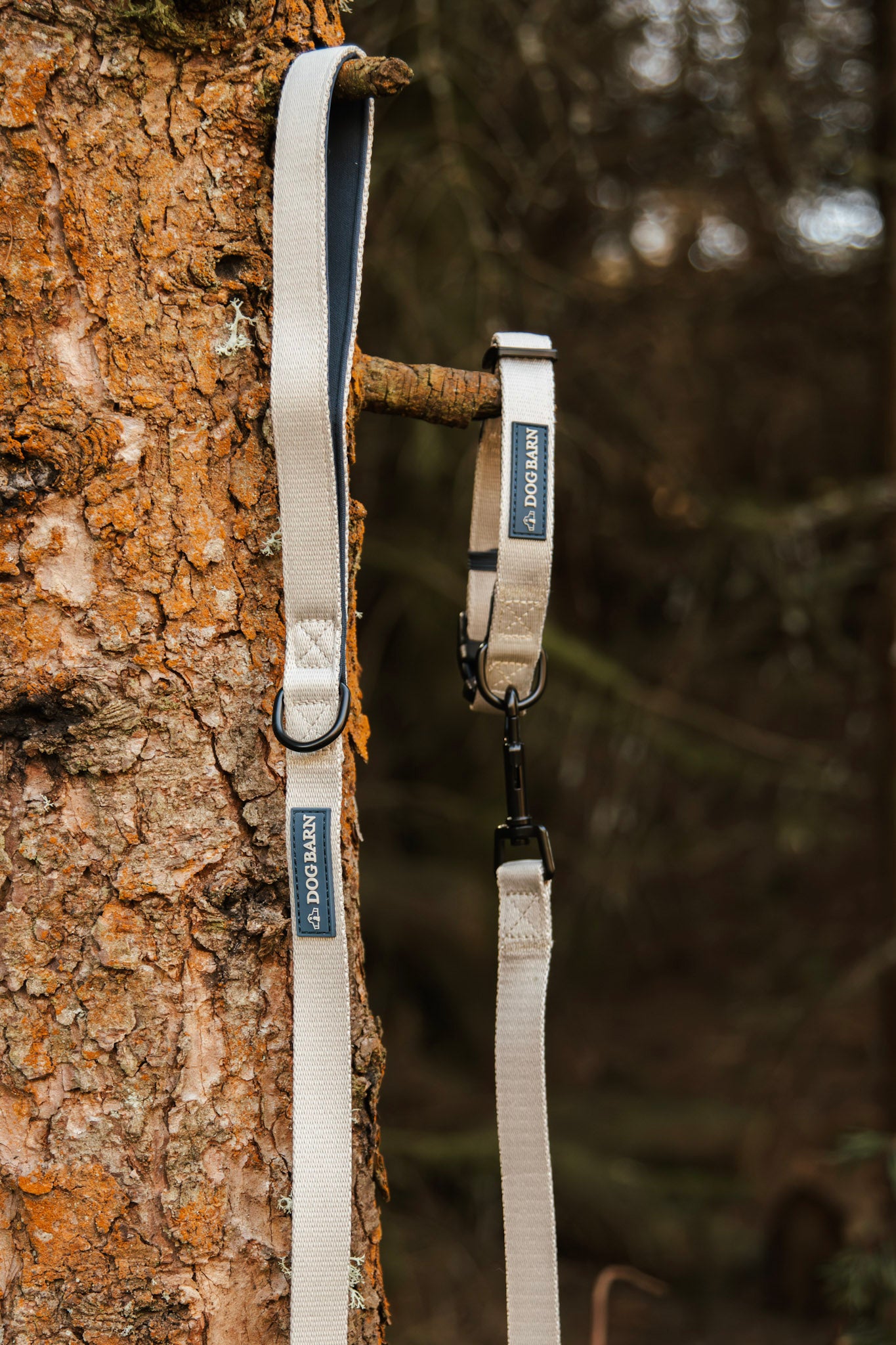 Sandstone Harbour Lead