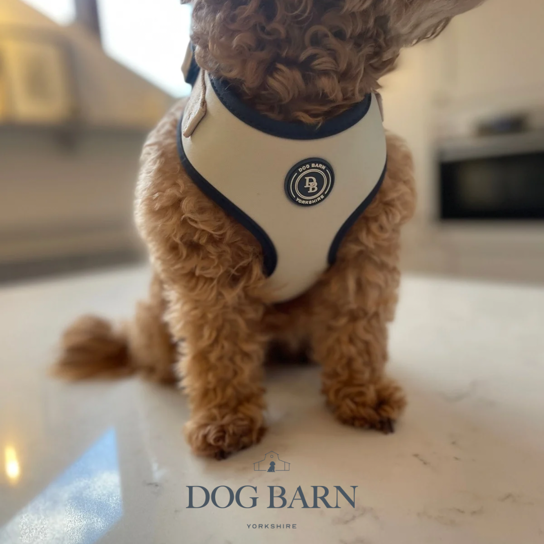 Sandstone Harbour Harness