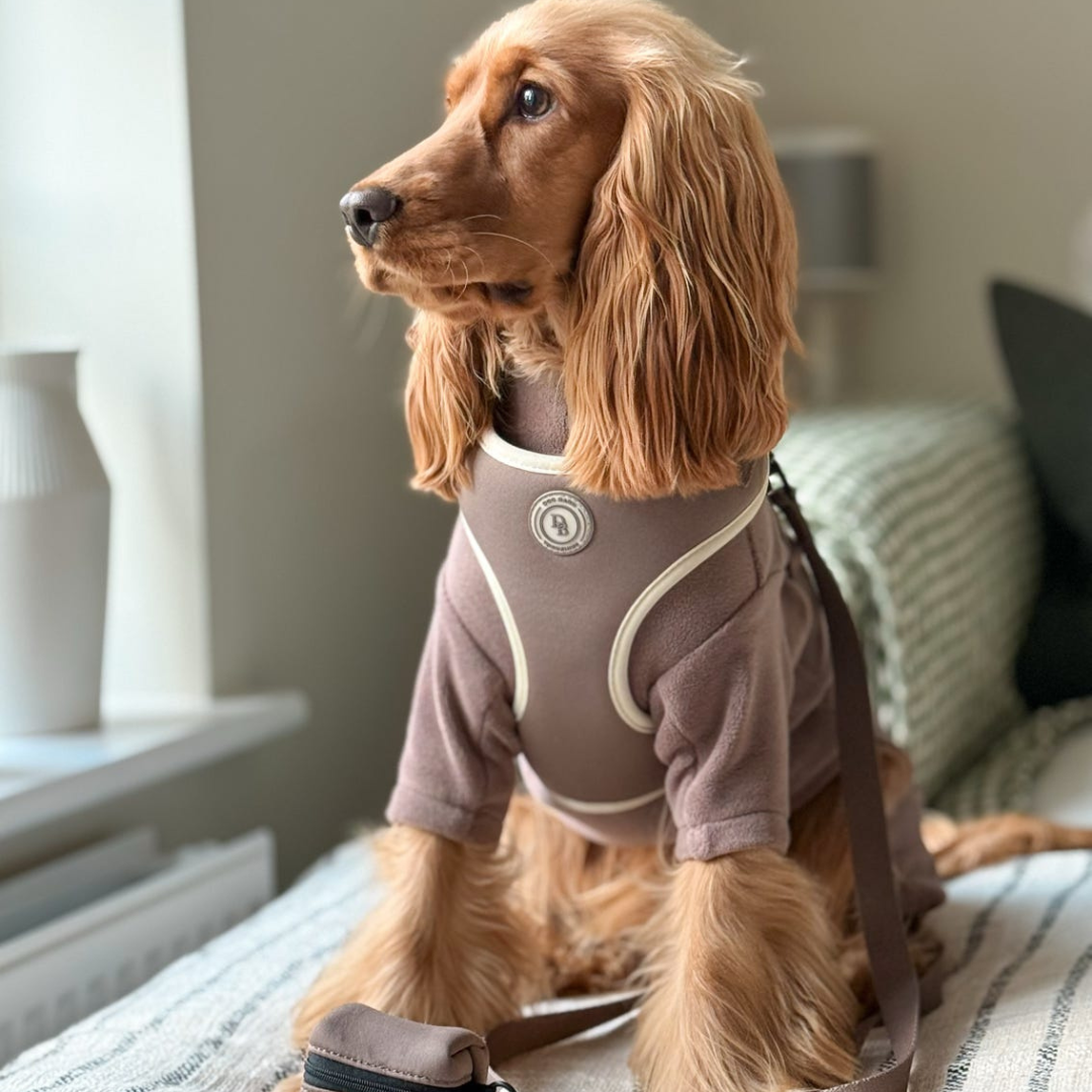 Chestnut Trail Bundle