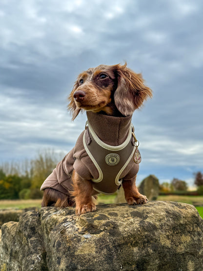 Dachshund Chestnut Trail Harness