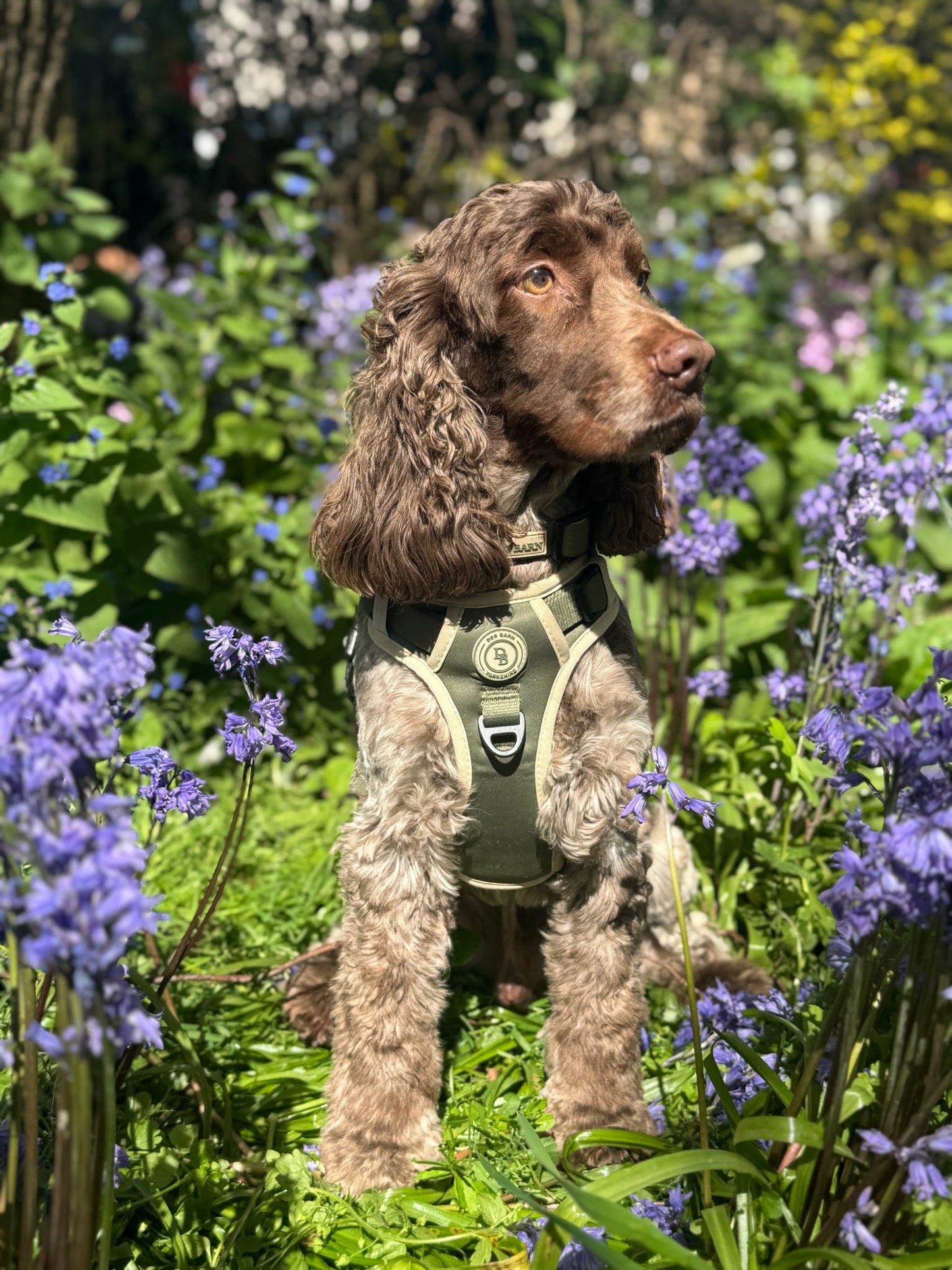 Forest Glade Adventurer Harness