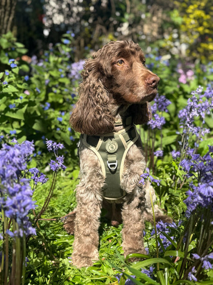Forest Glade Adventurer Harness