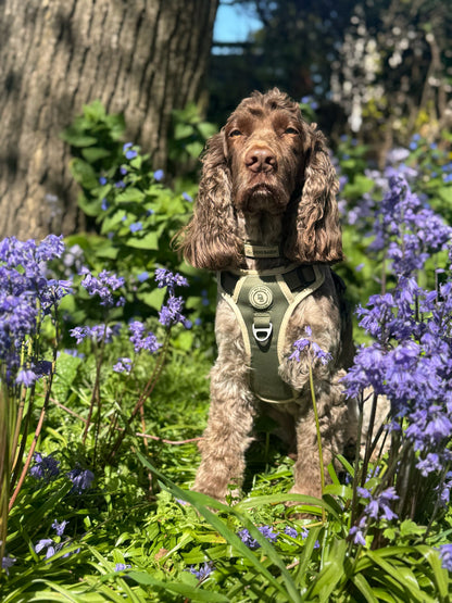 Forest Glade Adventurer Harness