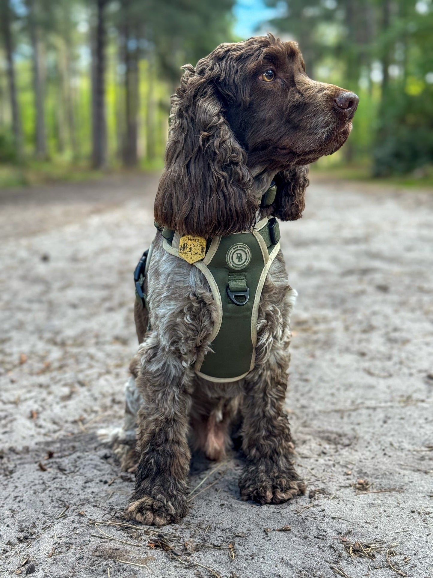 Forest Glade Adventurer Harness
