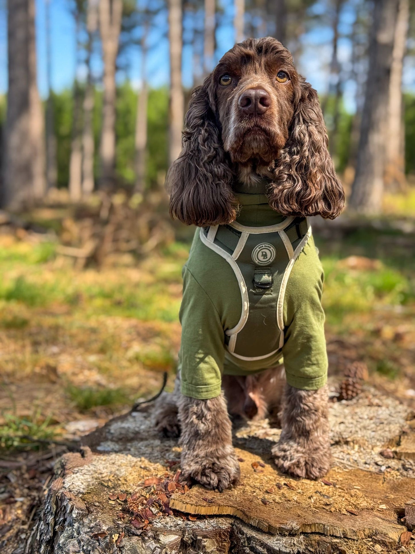 Forest Glade Adventurer Harness