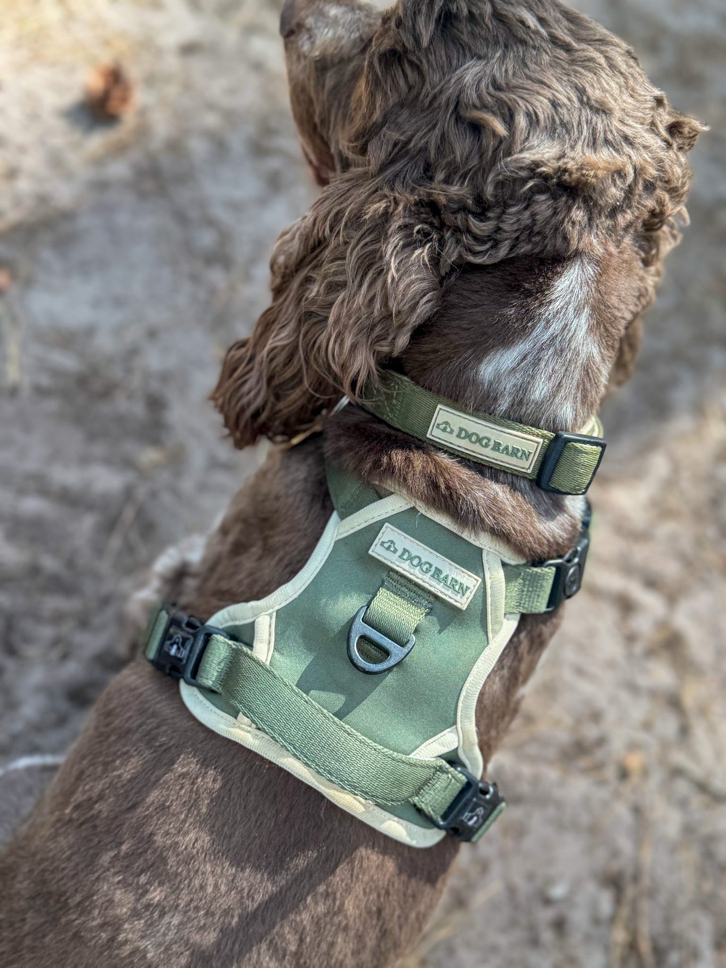 Forest Glade Adventurer Harness