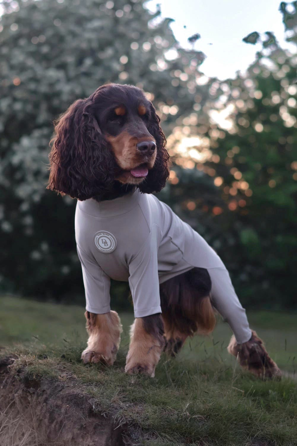 Truffle Dusk Summer Suit