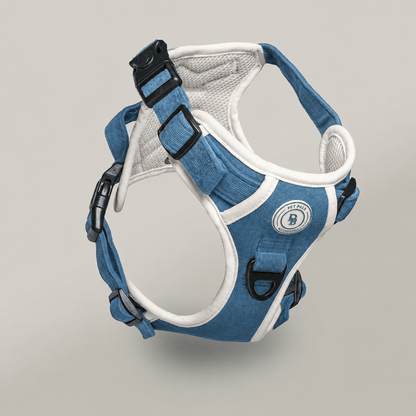 Dachshund Blue Sky Moor Adventurer Harness (Corded Material)