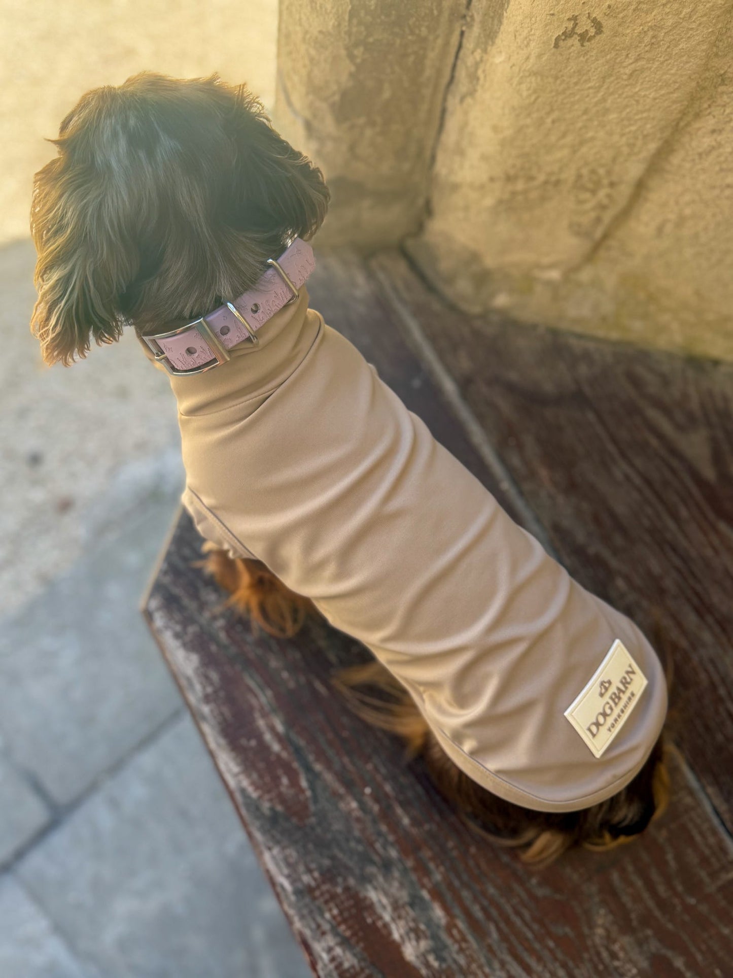 Dachshund Truffle Dusk Summer T-Shirt