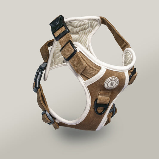 Chestnut Trail Adventurer Harness